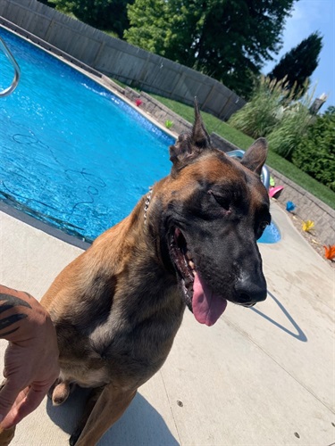 Mack by pool