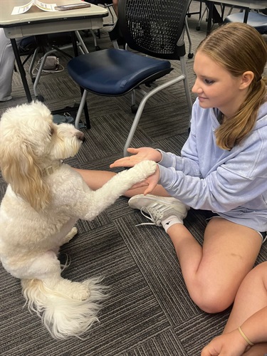 Teen with Rosie the K9 Office