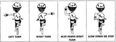 WheeledSafety4