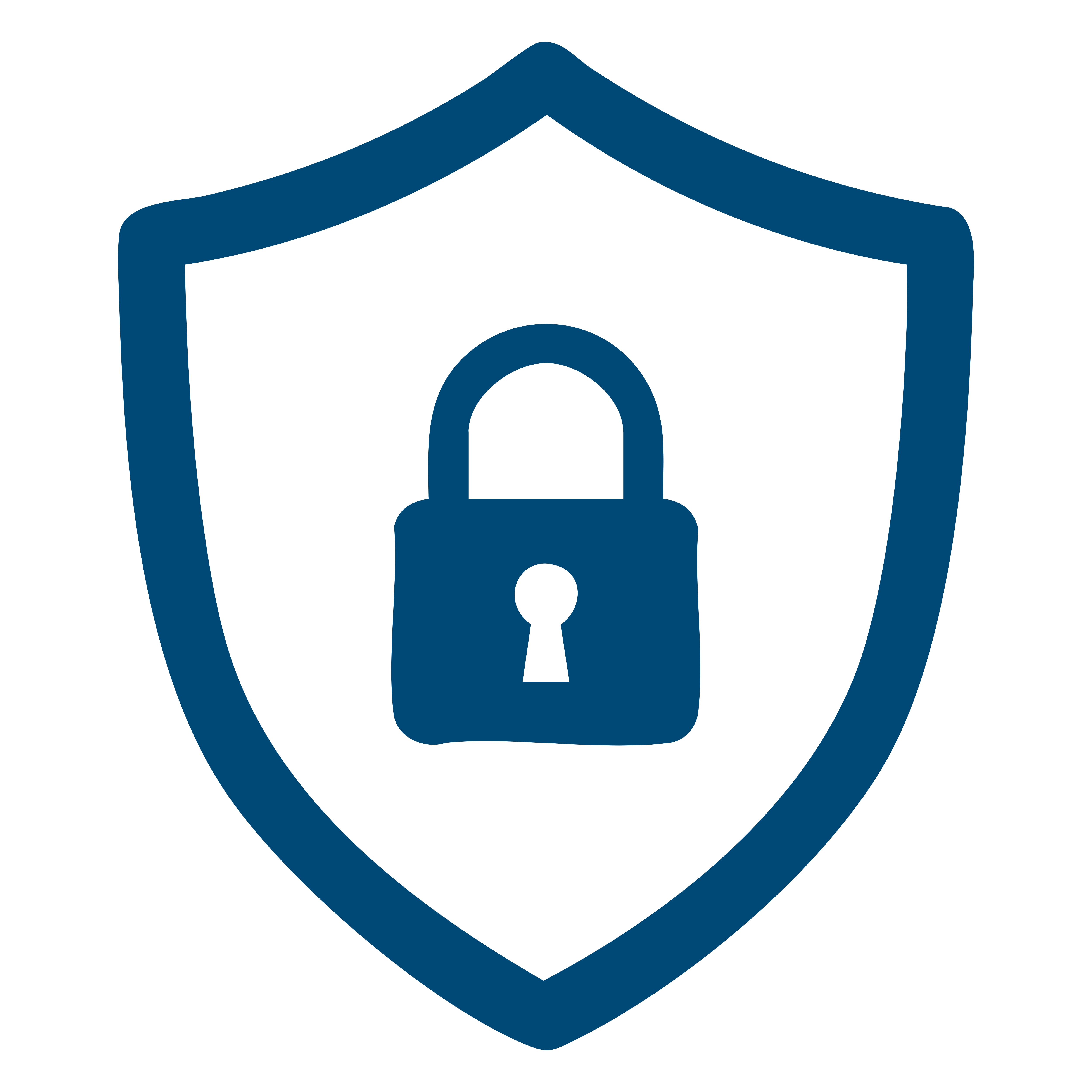 security-icon.jpg