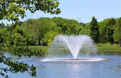 Rotary-Arboretum-featured-image.jpg