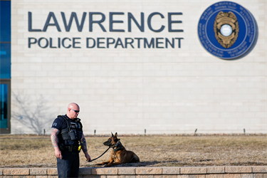 K9 Mack heeling